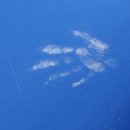 태평아파트 앞 이미지