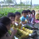 혜정농장 이미지