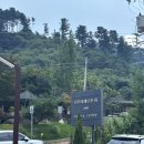 나무아래 | 가평 대형카페 추천 나무아래오후N 내돈내산 상세후기 (베이커리 종류)