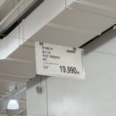 (주)부일쇼핑(2600) | 코스트코 2026년 2월 둘째주 설날 명절 쇼핑 리스트 코스트코 신상 쇼핑꿀팁 추천템 할인행사