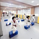 용인대성원태권도장 이미지