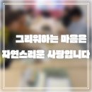 품애 | 반려견과의 이별, 혼자가 아닙니다｜서대문 내품애센터 펫로스 마음수업 후기