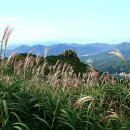 상촌 체육공원 이미지