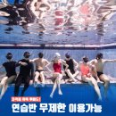고고다이브
