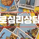 타로심리상담사 2급 자격증과정 네이버블로그