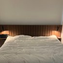 가방위에 고양이 | 🏠호무로 시그니쳐 그래피트 알러지프리&amp;극세사 SK -고양이 집사의 내돈내산 후기