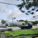 훈이농장 | [양주] 서대문구 초등학생 어린이 주말농장 9월 가을 텃밭 추천 작물 모종