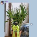 신전떡볶이(기장점) 이미지