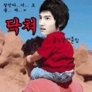 촹이 이미지