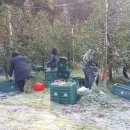 종구농장 이미지