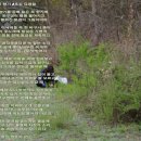 숲속의맑은향기 이미지