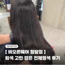 광천통앞 - 우 | 강남구청역 미용실 비오른헤어 청담점 퇴색 고민 잡은 다크브라운 전체염색 후기