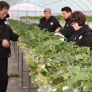 김남형농장 이미지