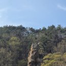 논산장묘 | 충남 금산 · 논산 개장 이장 후기