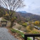 시내산펜션 이미지