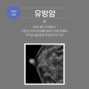 박근준유외과의원 | [부산 유방 외과 전문의 박근준유외과의원] 236. 40대 중반 여성에서 군집성 미세석회화 및 유방 멍울...