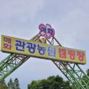 매화관광농원캠핑장 이미지