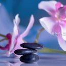 바움슈필학습심리상담센터