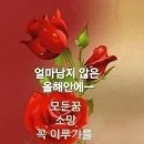 빛과소금 이미지