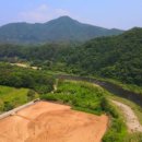 푸른숲부동산공인중개사사무소 이미지