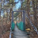 잣향기푸른숲 유아숲체험원 | 가평 아이랑 가볼만한 곳 | 가평 잣향기푸른숲 | 유아숲체험원 | 예약, 운영시간, 코스, 이용팁