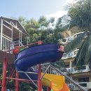 파라다이스가든 이미지