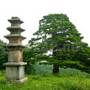 용천리 오층석탑 이미지