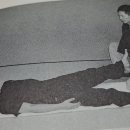 인활법