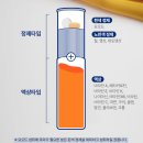 동아종합상사 | 삶의 질 수직상승! 오쏘몰 멀티비타민 이뮨 30일분+1일분 추가 증정 쇼핑백 포함 이뮨샷 솔직 추천 🍊