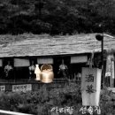 주막집 Daum카페