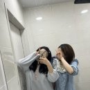 희망이 움트집 이미지