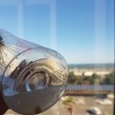 창대사료 이미지