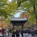 3.2공원(야외화장실) | #15. 내장산 11월단풍 둘째주 알레버스 산행후기 초보코스