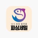 세일낚시