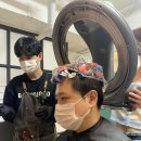 살롱드 댕댕 이미지