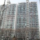 분당-225 이미지