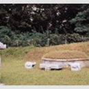 이인현선생묘 이미지