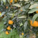 생규농장 이미지