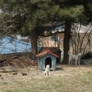 고덕에아침공인중개사사무소 이미지