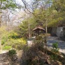 용천(인왕) 이미지