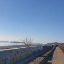 시절인연 이미지