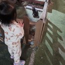 더뽑기샾(붕어빵 오뎅) | 놀거리 가득, 가평 풀문캠핑앤글램핑 리조트 별다락방 내돈내산 후기(5.6세 아기랑👍)