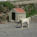 섬나라하얀집 이미지