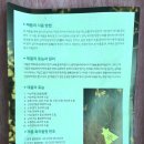 약손건강안마지압원 이미지