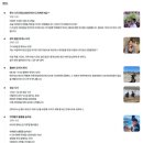 소렌토민박 | 이탈리아 남부 투어 내돈내산 후기 - 박재벌 남부투어 (feat. 포지타노, 폼페이, 소렌토 하루 코스 강추!!)