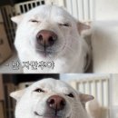 임신 중기부터 후기 기록_태교여행부터 32주차 휴직까지