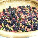 환국농장 이미지