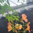 산청 가볼만한곳 여행코스 | 남사예담촌 남학정 이씨고가 최씨고가 | 경남 갈만한곳