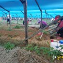 종삼농장 이미지