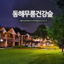 동해시-14 | 동해무릉건강숲 4번째 숙박도 만족한 후기
